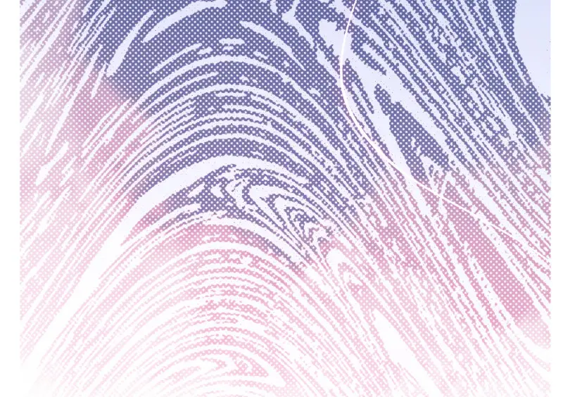 野蜘蛛·三267