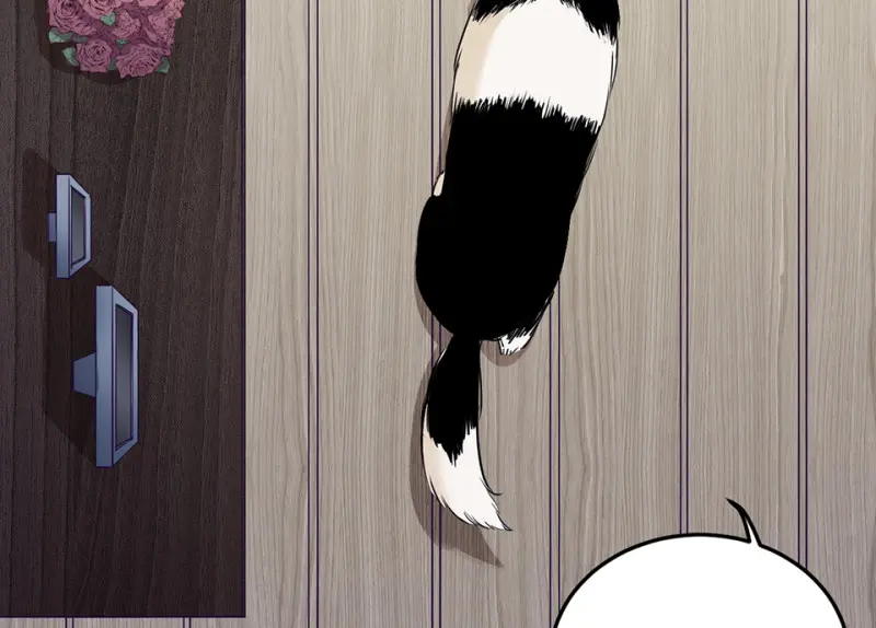 宠物食粮·一75