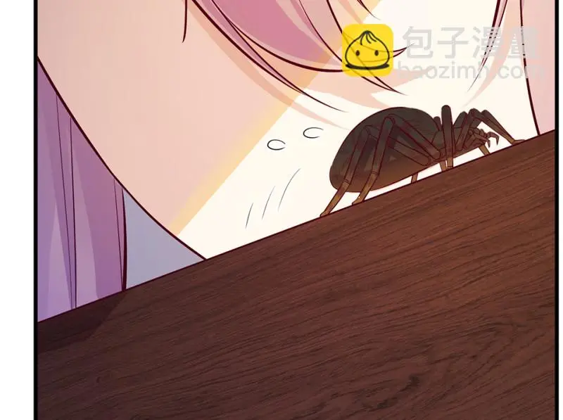 野蜘蛛·一112