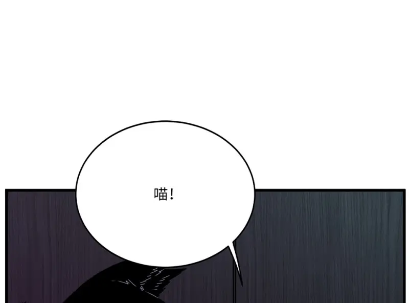宠物食粮·七143