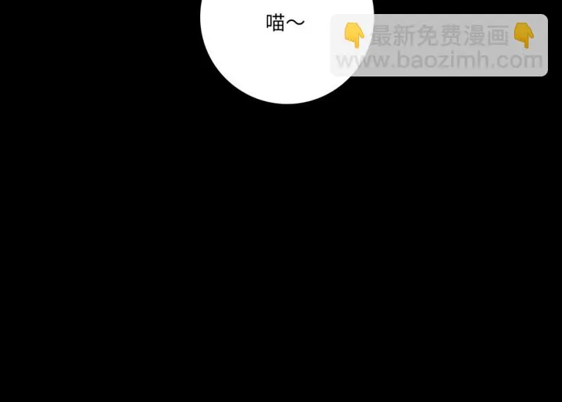 宠物食粮·七163