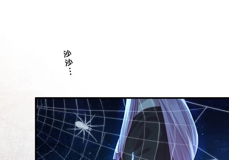 野蜘蛛·二147