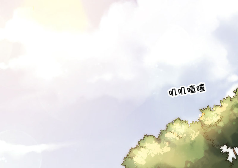 野蜘蛛·六7