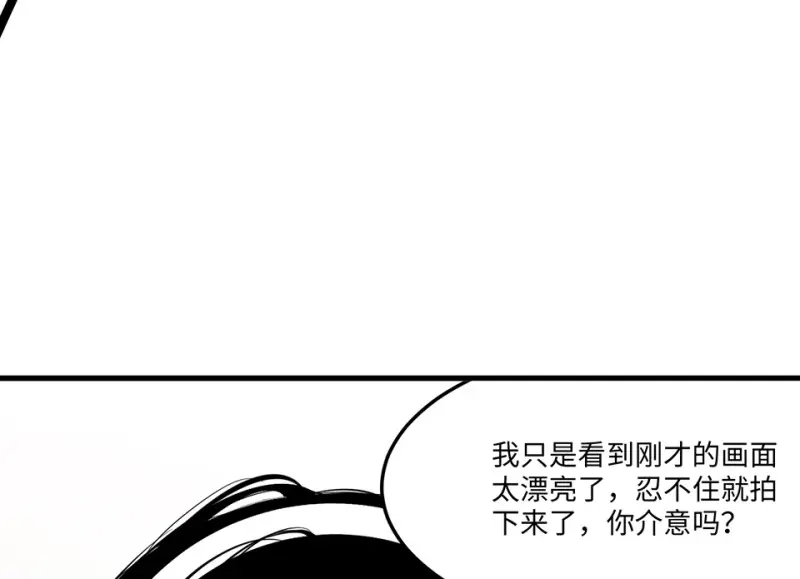 宠物食粮·三62