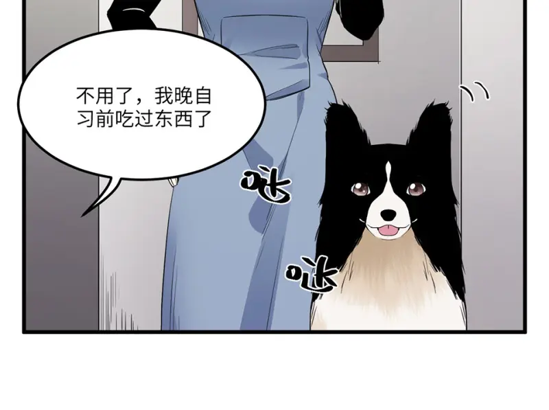 宠物食粮·五98