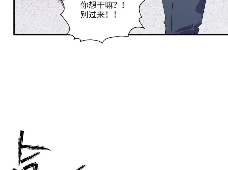 宠物食粮·二131