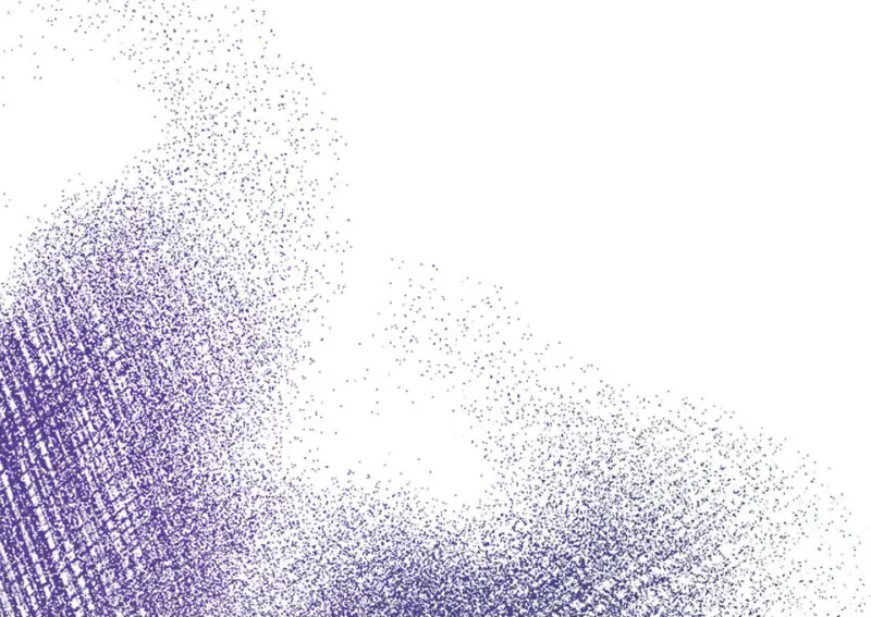 野蜘蛛·六107