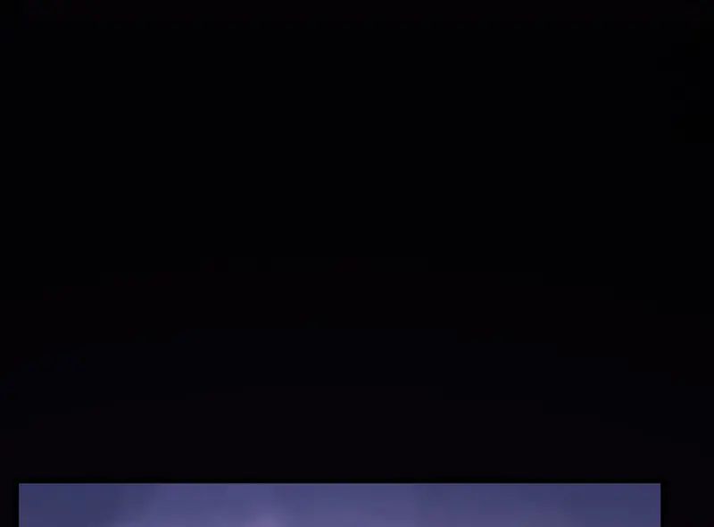 野蜘蛛·一98