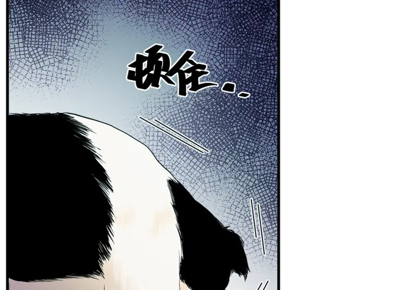 宠物食粮·一159