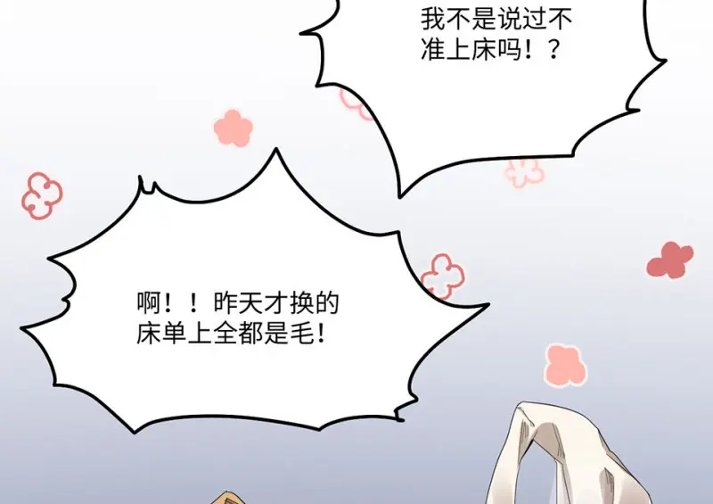 宠物食粮·二21