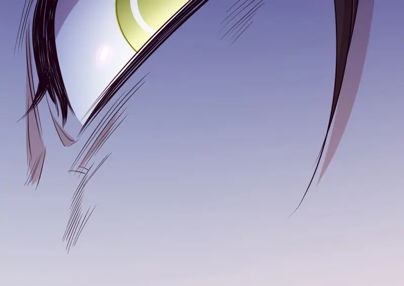 野蜘蛛·三247