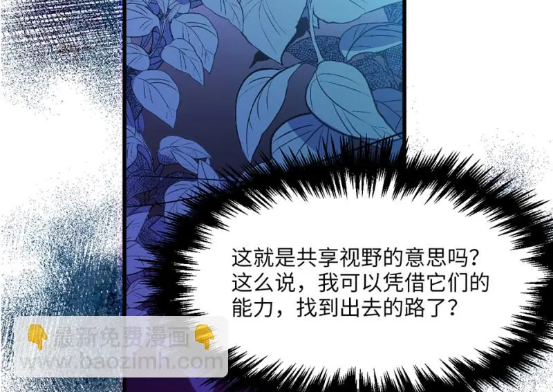 野蜘蛛·四99