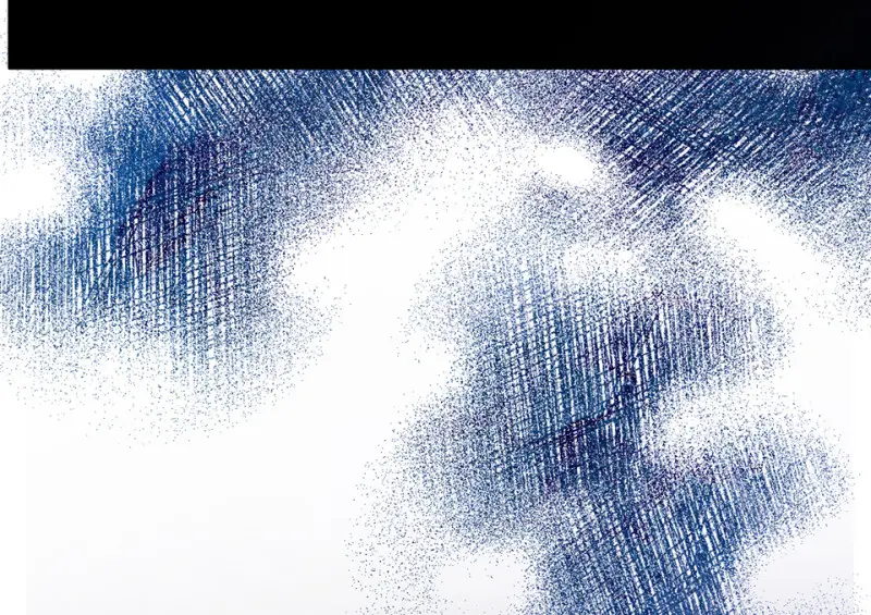 野蜘蛛·四19
