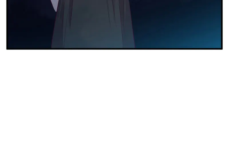 野蜘蛛·二146