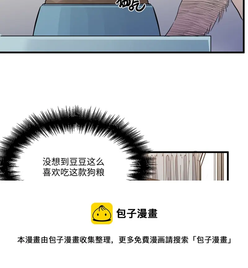 宠物食粮·一150