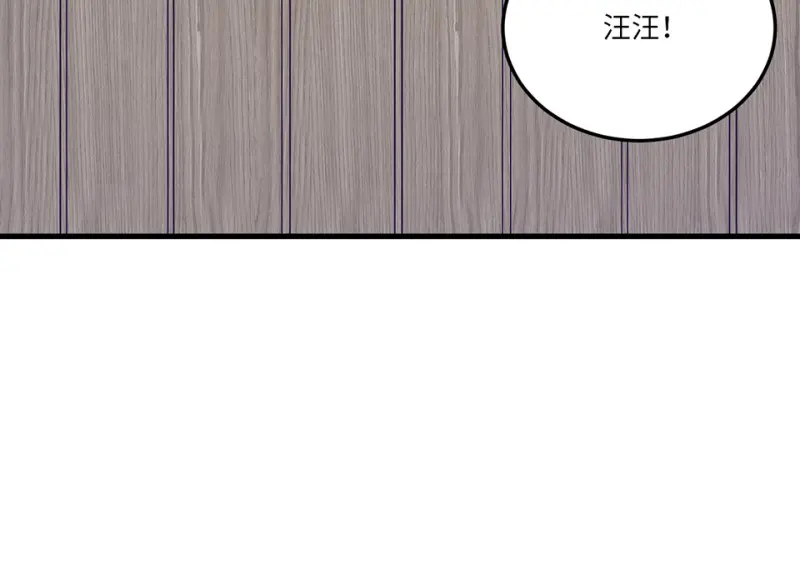 宠物食粮·一76