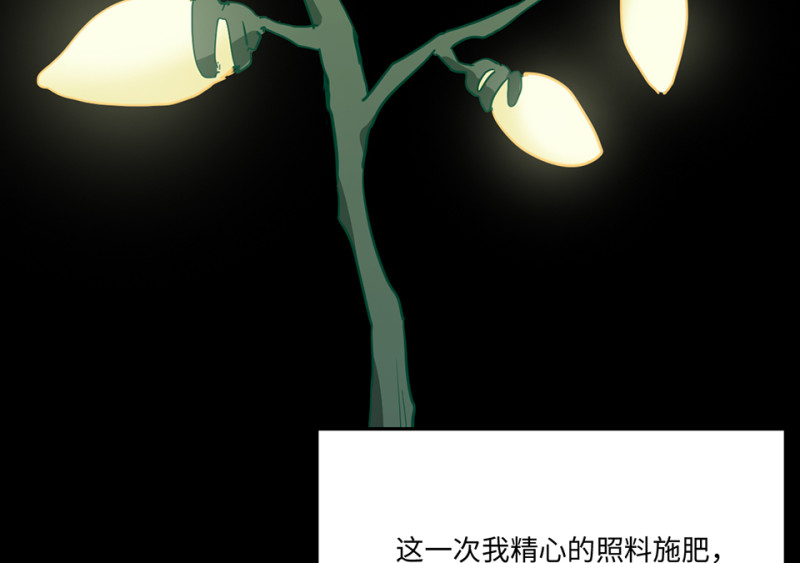 培育土壤·三8