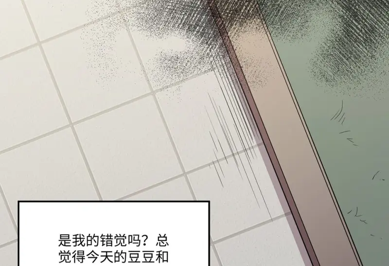 宠物食粮·二72