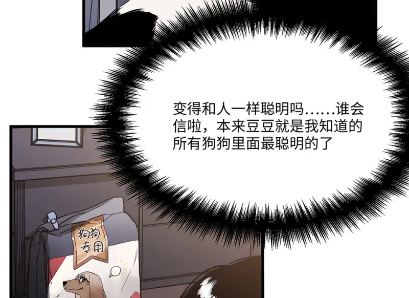 宠物食粮·一152