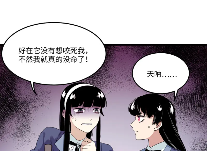 宠物食粮·五74