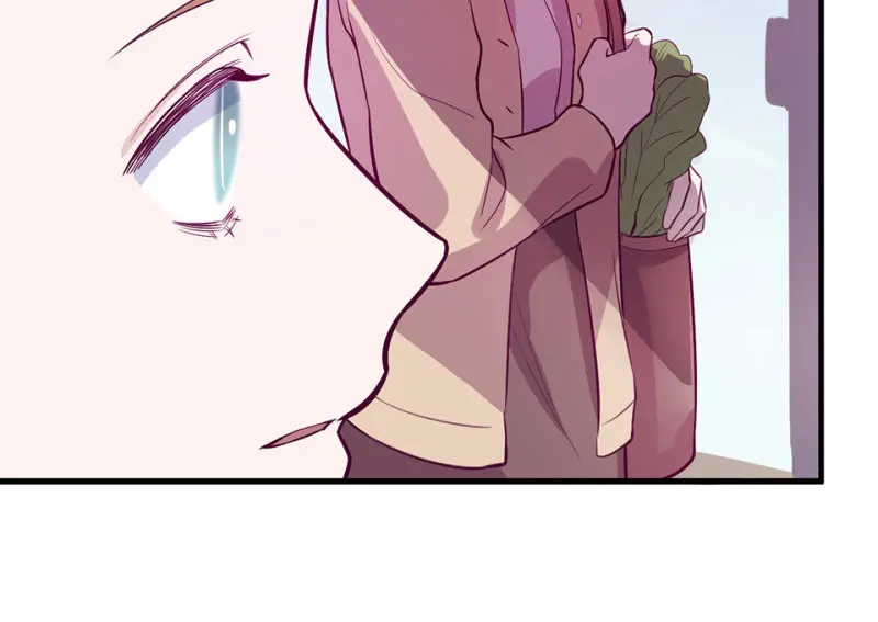 野蜘蛛·六166