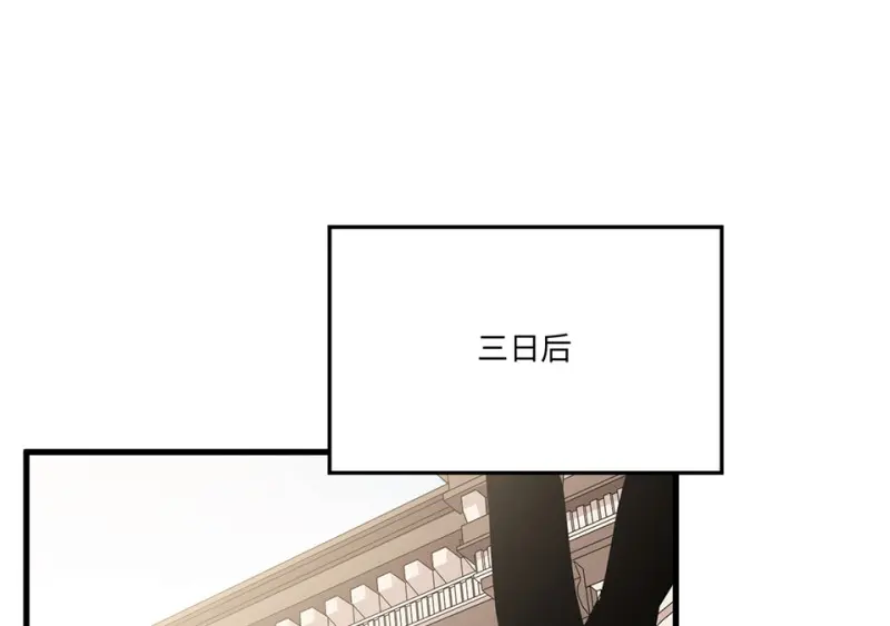 培育土壤·五41