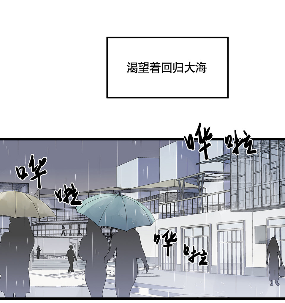 蝴蝶鱼·五16