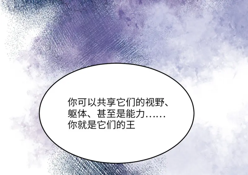 野蜘蛛·四52