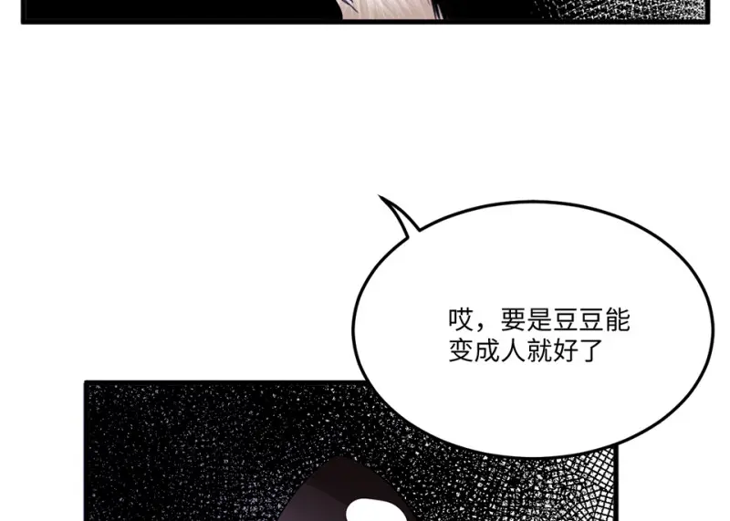 宠物食粮·四69