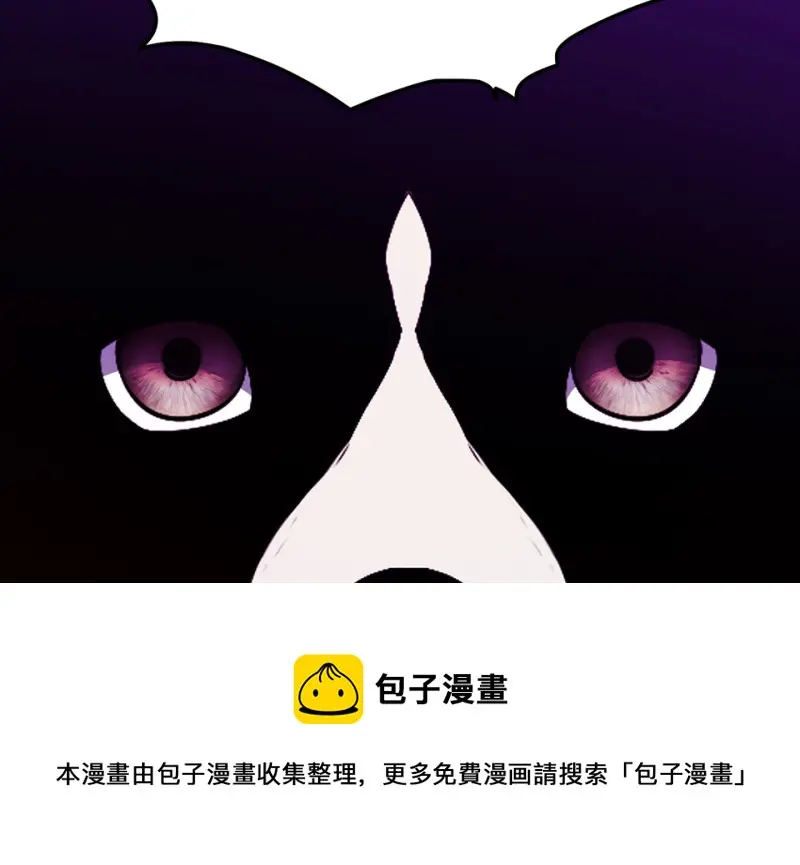 宠物食粮·四140