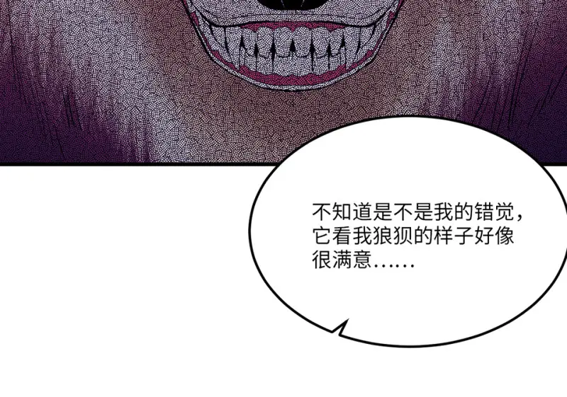 宠物食粮·五73