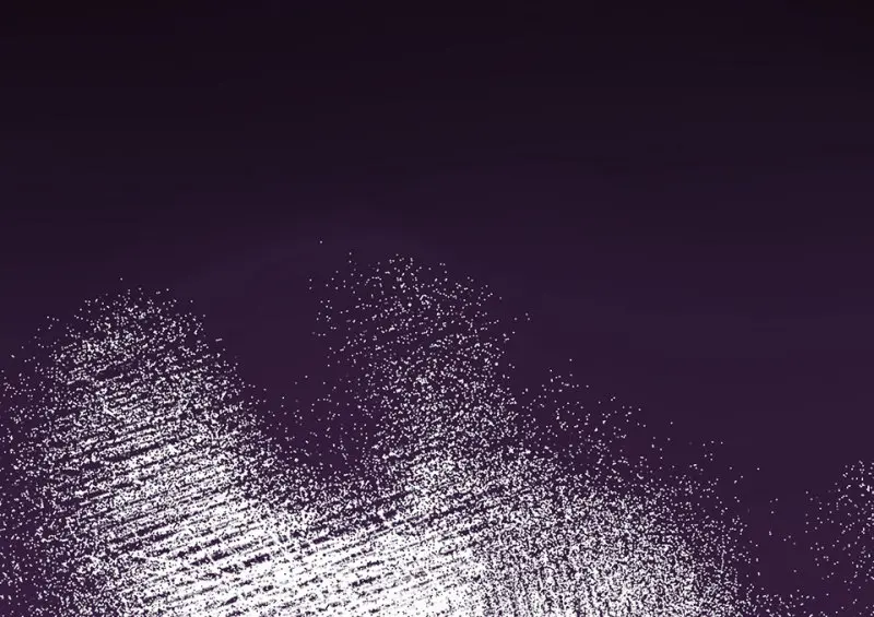 野蜘蛛·六55