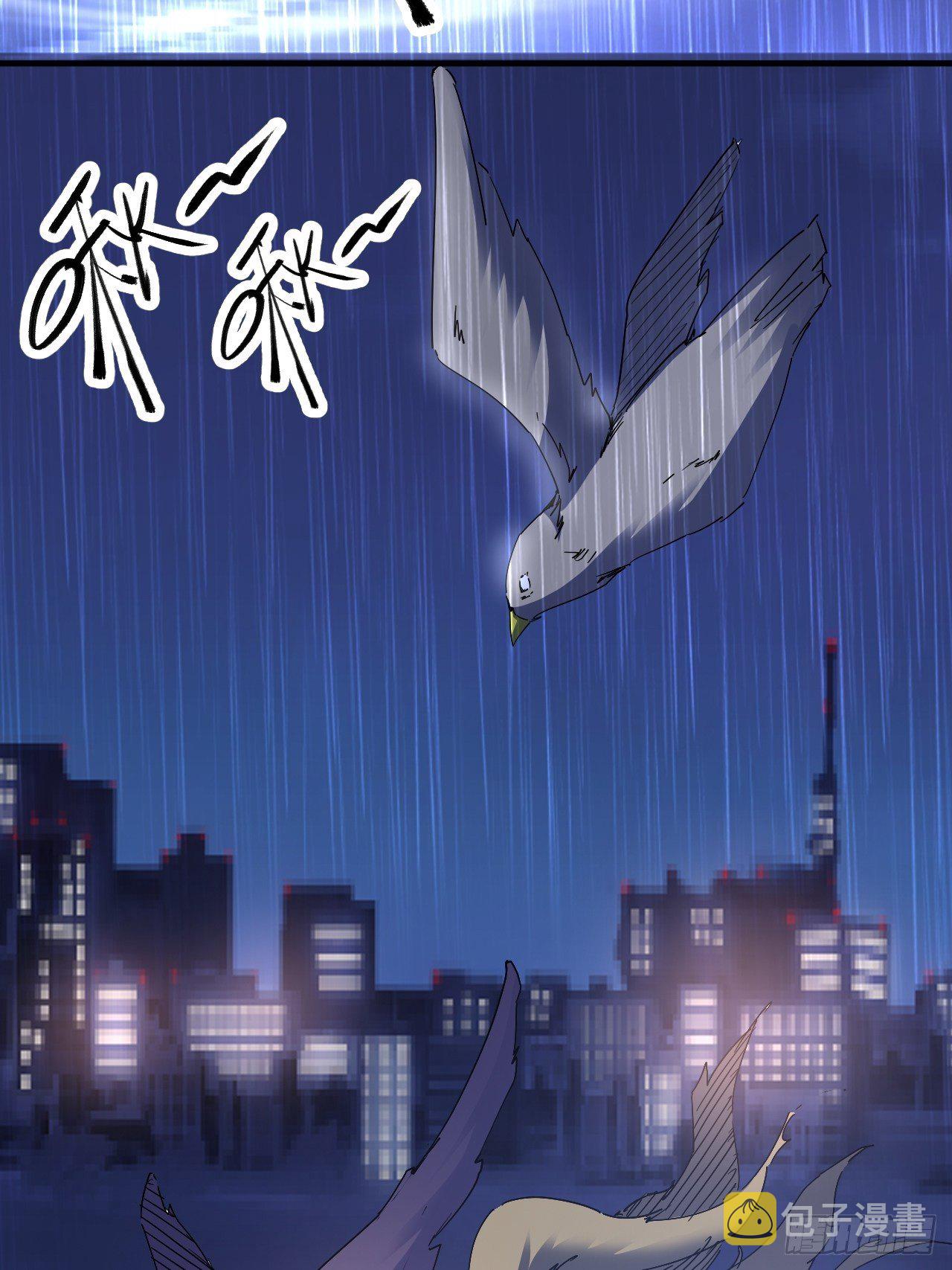 全世界，都在质疑！49