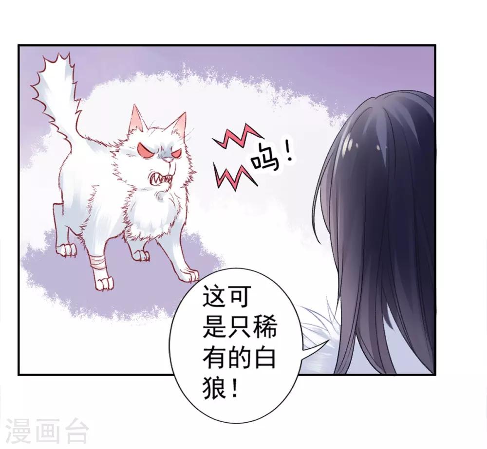 第18话 高呼吾名——杨巅峰！10