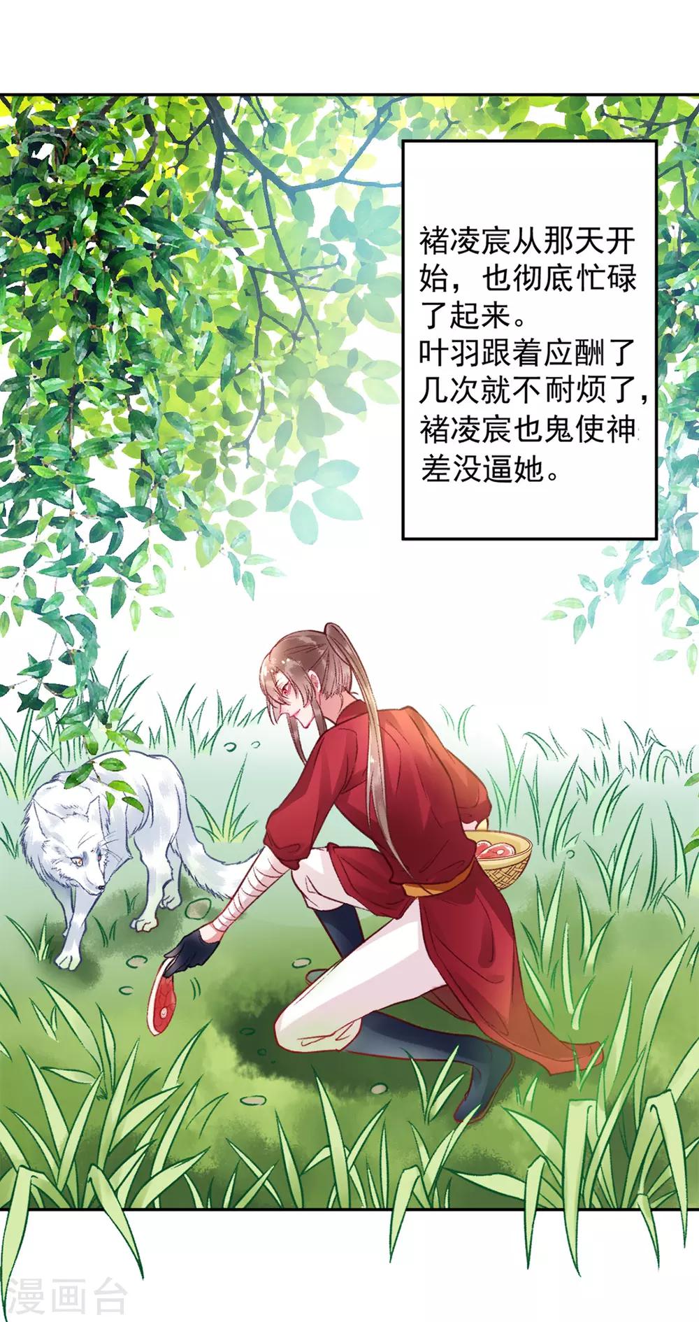 第24话 咱家的心头好1