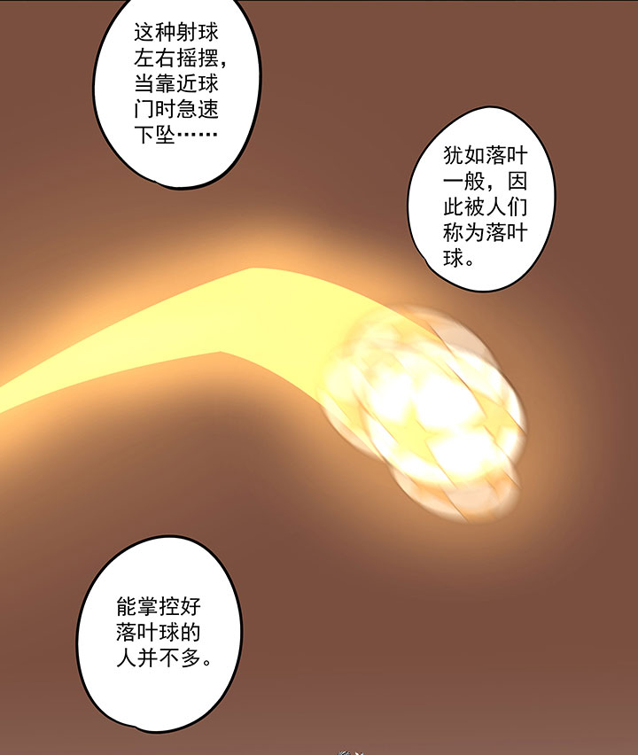 第六十五波 落叶球29