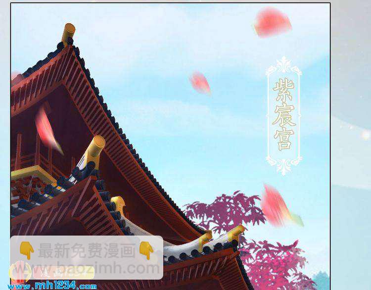 第79话 准备婚礼63