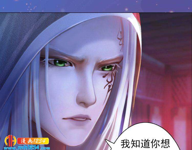 第87话 只为再见你一面33