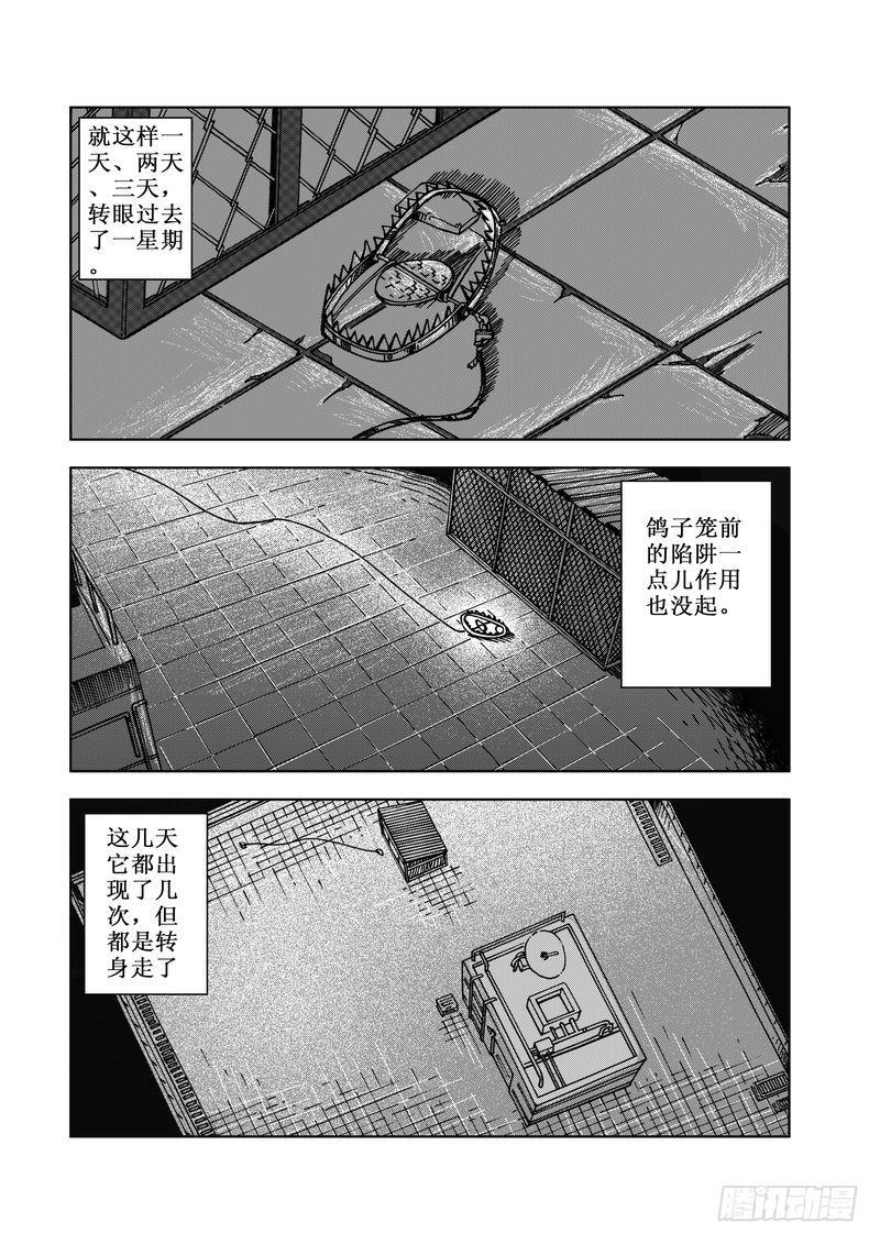 精灵男孩057