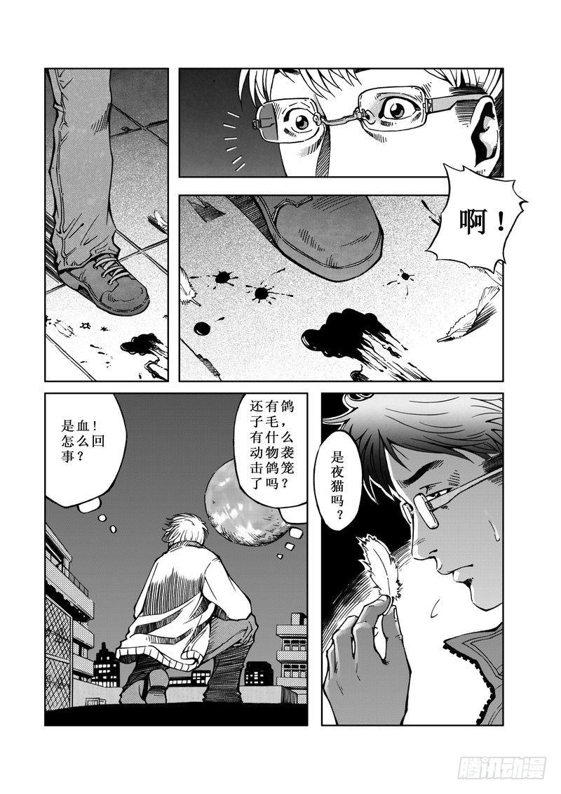 精灵男孩0113