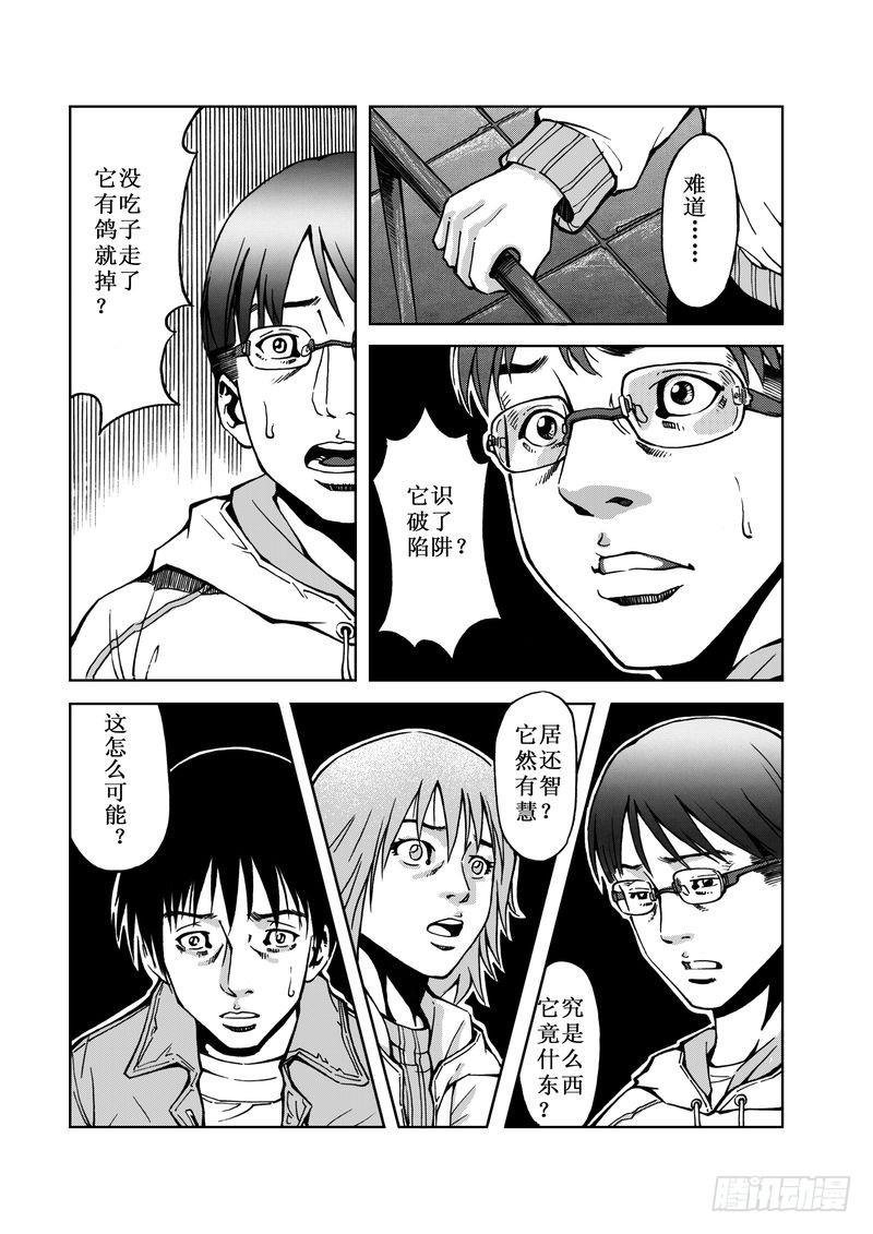 精灵男孩055