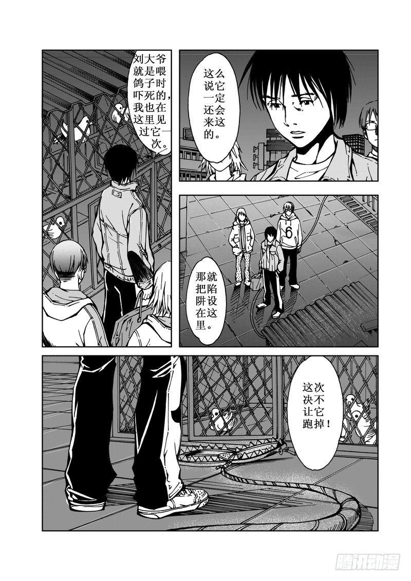 精灵男孩052