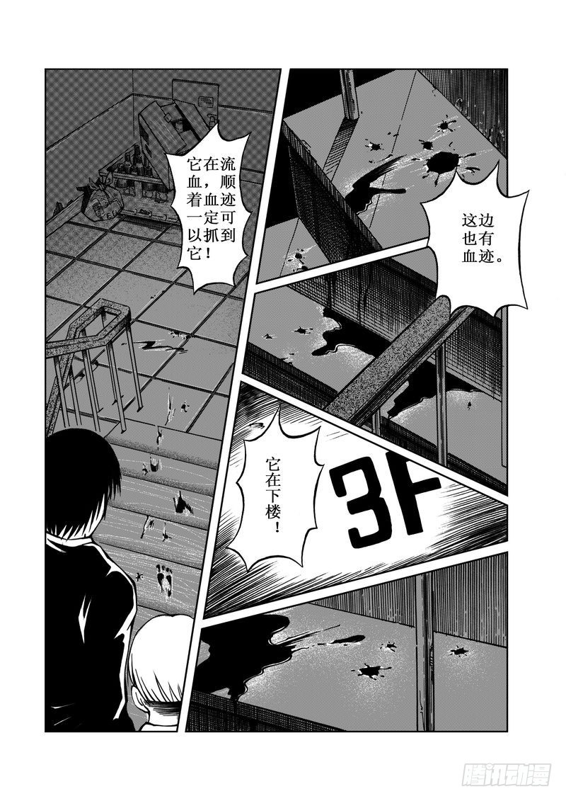 精灵男孩0610