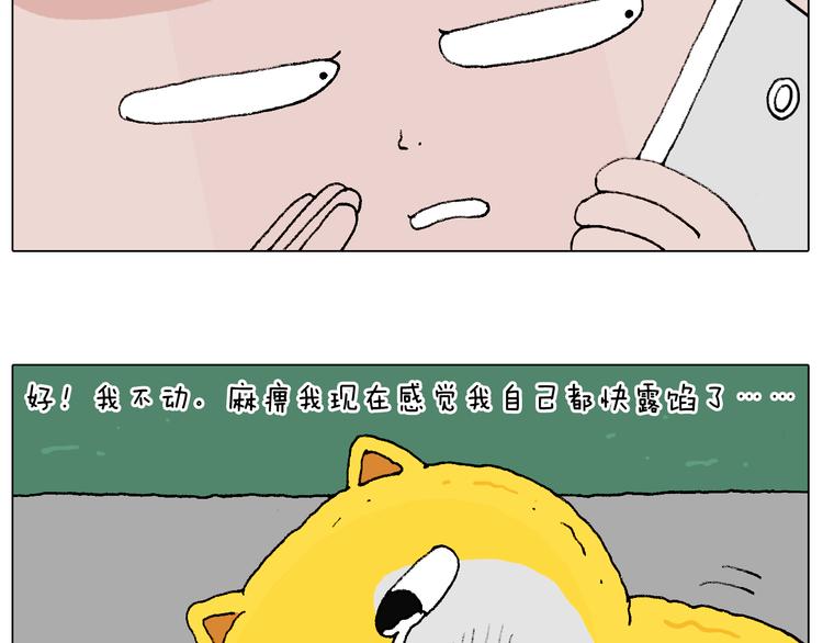 空中滑索39