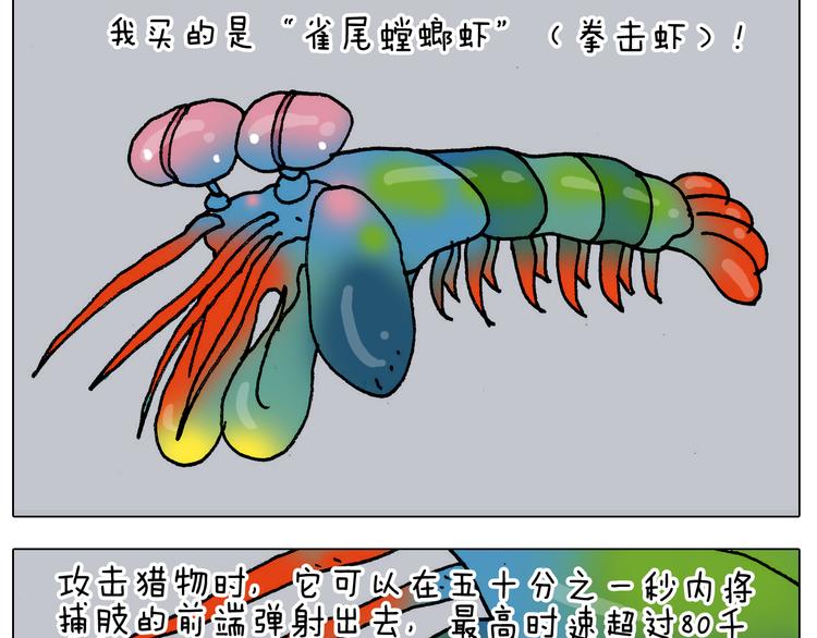 第302话 超级海鲜25
