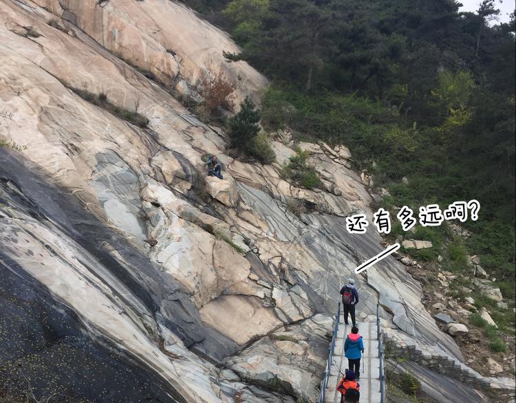 泰山行250
