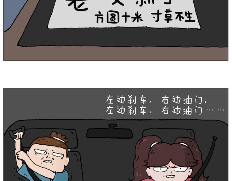 速度与亲情67