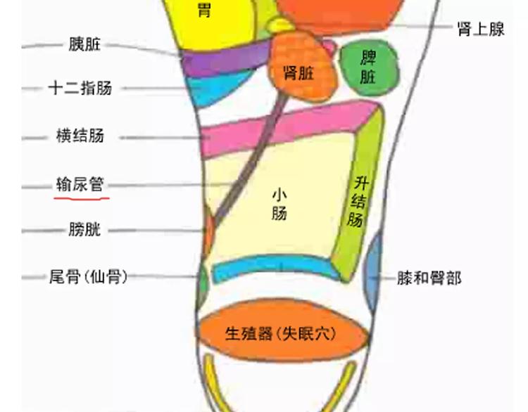 第170话65