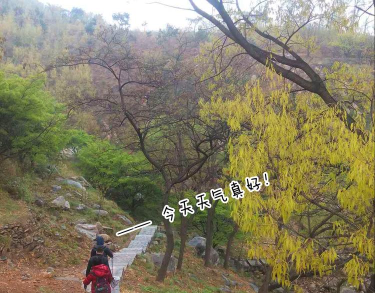 泰山行245