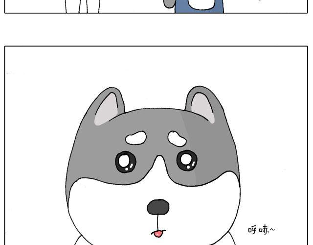 习惯了19